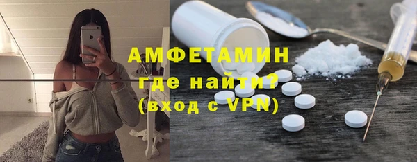хмурый Аркадак