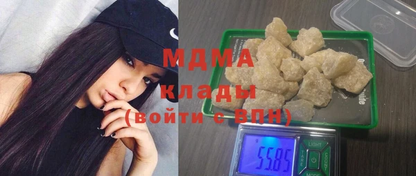 хмурый Аркадак