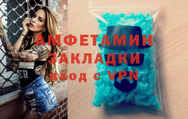 хмурый Аркадак