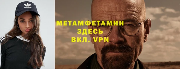 хмурый Аркадак