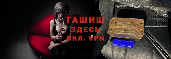 хмурый Аркадак