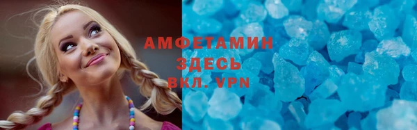 хмурый Аркадак