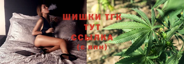 хмурый Аркадак