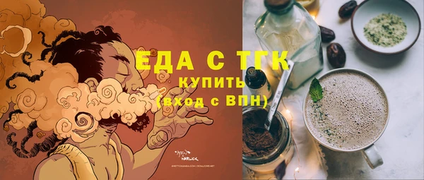 хмурый Аркадак