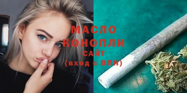 хмурый Аркадак