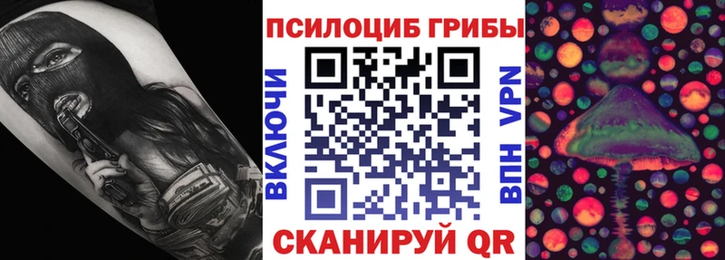 Псилоцибиновые грибы мухоморы  mega ССЫЛКА  Светлоград 